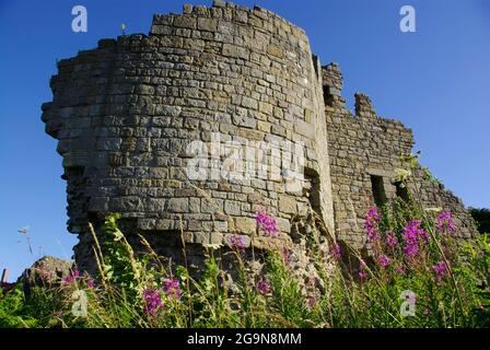 Château de Caergwrle, Flintshire, pays de Galles, Nord, est, Banque D'Images