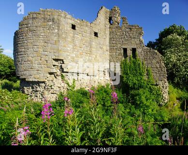 Château de Caergwrle, Flintshire, pays de Galles, Nord, est, Banque D'Images