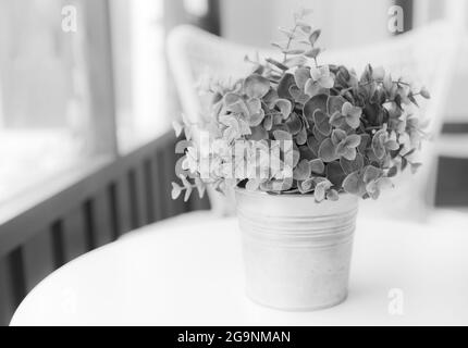 Fleur d'arfificiel décorée près de la fenêtre, traitée en noir et blanc Banque D'Images