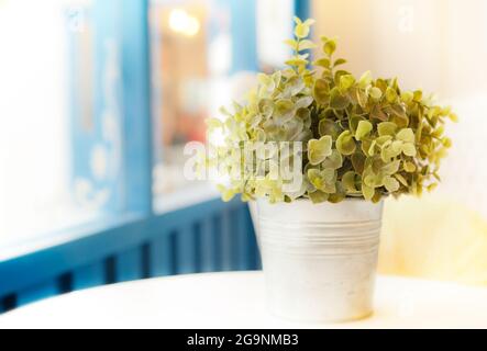Fleur artificielle décorée près de la fenêtre Banque D'Images