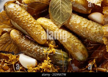 Concombres marinés faits maison avec ail, aneth et raifort. Banque D'Images