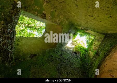 Les ruines surcultivées de l'église St Mary's, situées dans une forêt dans l'est du Somerton près de Winterton-on-Sea, dans le nord du Norfolk au Royaume-Uni. Banque D'Images