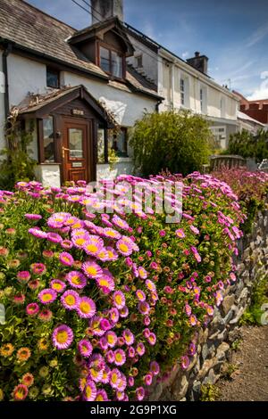 Royaume-Uni, pays de Galles, Ceredigion, Aberporth, Banc y Dyffryn, façade florale du cottage Banque D'Images