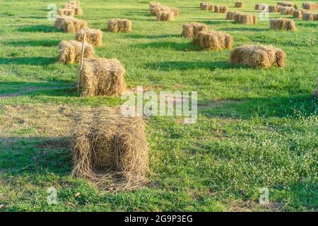 Sièges et tables faits de balles de paille pour l'événement et la fête posés sur la pelouse. Pailles de chaume décorées pour s'asseoir dans la campagne. Mobilier fait Banque D'Images