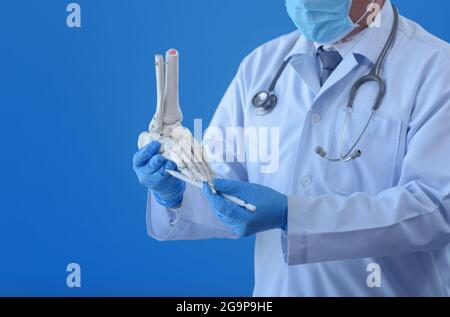 Pieds OS modèle tenant avec le médecin, gros-up main porter des gants médicaux médecin dans les gants médicaux tient l'os artificiel du pied. Banque D'Images