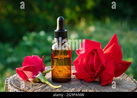 Bouteille d'huile essentielle de rose ou d'eau aromatisée. Fleurs de rose rouge. Banque D'Images