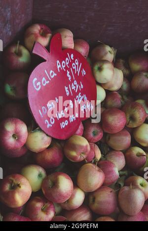 Pile de pommes Gala à vendre sur le marché local des fruits de l'assistance routière Banque D'Images