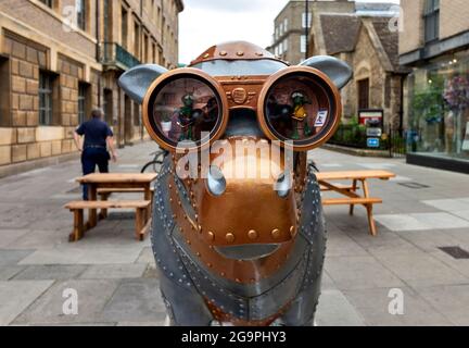 CAMBRIDGE ANGLETERRE VACHES AU SUJET DE CAMBRIDGE COW AVEC ARMURE ET YEUX BINOCULAIRES Banque D'Images