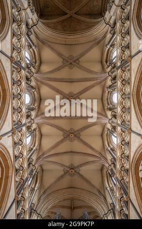 Beverley Minster dans East Yorkshire, Royaume-Uni Banque D'Images