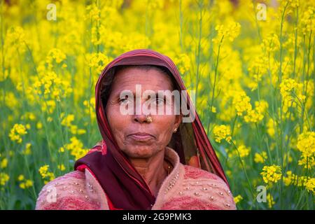TIKAMGARH, MADHYA PRADESH, INDE - 16 JUILLET 2021 : bonne vieille femme indienne debout dans le champ de moutarde. Banque D'Images