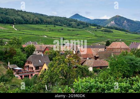 Un petit village parmi les vignobles d'Alsace Banque D'Images