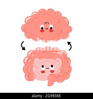 Mignon drôle heureux intestin humain et organes du cerveau et le cercle flèches.Vector caricature kawaii caractère illustration icône.isolé sur fond blanc.cerveau et intestin dessin animé Doodle personnage concept Illustration de Vecteur