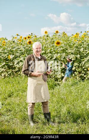 Fermier mâle mûr et gai debout devant appareil photo et utilisation du pavé tactile contre le champ de tournesol et femme allumé jour ensoleillé Banque D'Images