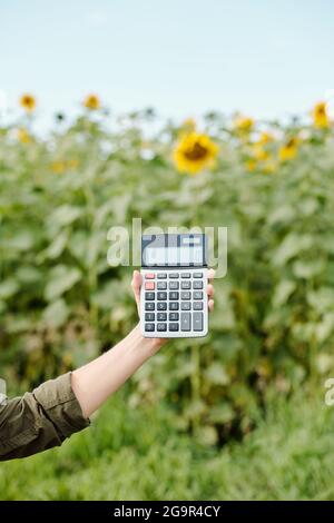 Mains d'un agriculteur de sexe masculin en vêtements de travail tenant la calculatrice avec zéro sur son affichage par rapport au champ de tournesol vert et au ciel le jour d'été Banque D'Images