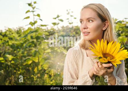 Joyeuse jeune femme blonde en lunettes de soleil et robe blanche debout contre le champ de tournesol devant la caméra avec ciel bleu en arrière-plan Banque D'Images