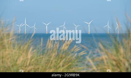 Scroby Sands Wind Farm dans la mer du Nord au large de la côte est de Norfolk au loin, photographié à travers les dunes de sable herbeuses de Caister on Sea. Banque D'Images