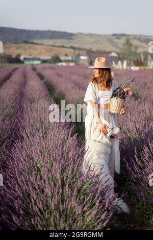 Femme séjournant sur un champ de lavande fleuri avec un grand chien blanc et appréciant la beauté de la nature. Passer du temps avec l'animal. Belle destination en été. Banque D'Images