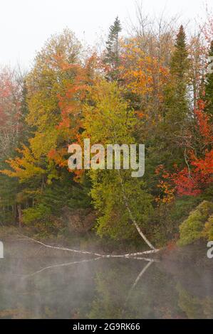 Androscoggin River, Milan, New Hampshire, États-Unis Banque D'Images