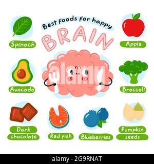 Affiche d'infographie sur les meilleurs aliments pour le cerveau heureux. Mignon cerveau de personnage d'organe. Icône d'illustration de personnage de dessin animé vectoriel kawaii. Isolé sur fond blanc. Concept de nutrition, alimentation saine pour l'esprit Illustration de Vecteur