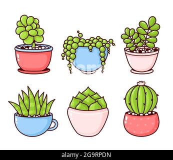 Collection de plantes succulentes et cactus. Motif d'icône d'illustration de dessin animé plat vectoriel. Succulents, plantes cactus stickers concept de paquet. Isolé sur fond blanc Illustration de Vecteur