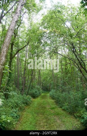 Parc national Aztalan, Lake Mills, Wisconsin. Banque D'Images