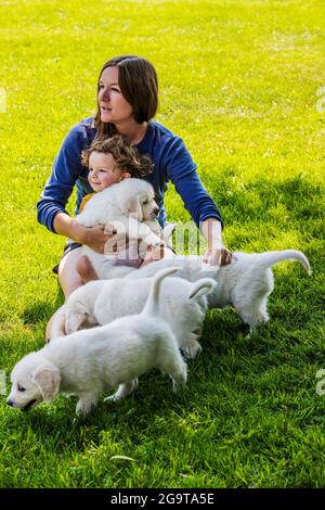 Mère et jeune fille jouant sur l'herbe avec des chiots Platinum ou Golden Retriever de couleur crème de six semaines. Banque D'Images