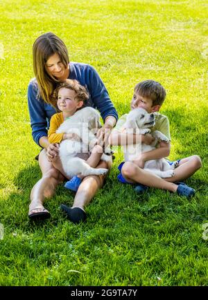 Mère et jeunes enfants jouant sur l'herbe avec des chiots Platinum ou Golden Retriever de couleur crème de six semaines. Banque D'Images