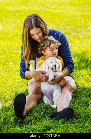 Mère et jeune fille jouant sur l'herbe avec des chiots Platinum ou Golden Retriever de couleur crème de six semaines. Banque D'Images