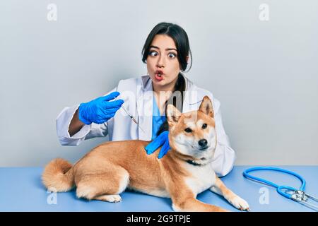 Belle femme vétérinaire hispanique mettant le vaccin au chien de chiot faisant le visage de poisson avec la bouche et les yeux de bourdonnement, fou et comique. Banque D'Images