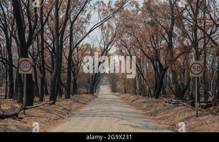 2019/ 20 NSW Bushires NSW Australie - la petite ville de Balmoral, au sud-ouest de Sydney, a été effacée en raison de l'incendie de Wattle creek en 2019/ 20 Banque D'Images