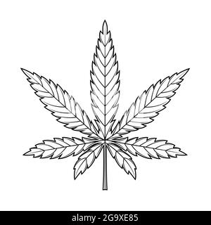 Icône de la feuille de marijuana ou de la feuille de cannabis Illustration de Vecteur