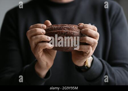 Homme tenant des fruits frais de cacao, gros plan Banque D'Images