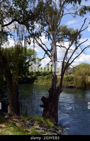 TUMUT, AUSTRALIE - 30 décembre 2020 : vue sur la rivière Tumut dans les Snowy Mountains d'Australie Banque D'Images