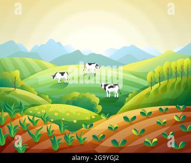 Paysage d'été de ferme coloré, ciel clair de lever de soleil avec des vaches sur le champ et des champs avec vecteur de cultures émergentes Illustration de Vecteur