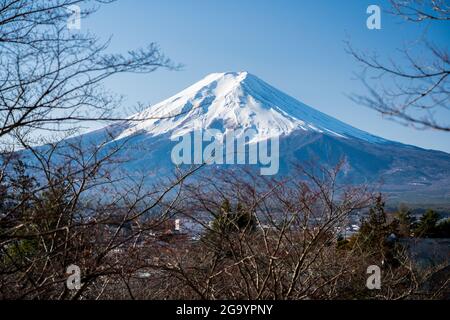 Vue sur le Mont Fuji à travers les arbres du parc Arakurayama Sengen, Japon. Banque D'Images