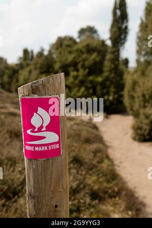 Sentier de randonnée Hohe Mark, réserve naturelle de Westruper Heide, Allemagne, Rhénanie-du-Nord-Westphalie, Haltern am See Banque D'Images