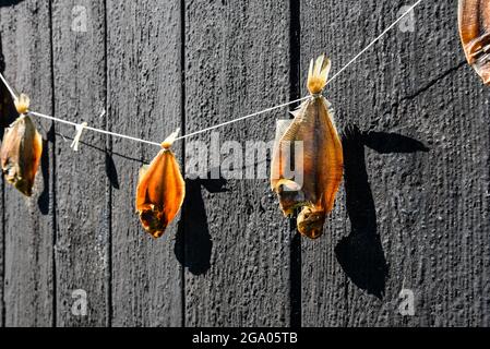 Enkhuizen, pays-Bas - 2 septembre 2020. Poisson séché traditionnel sur une ligne avec un fond de bois tarré noir dans le musée en plein air à Enkhuizen, aux pays-bas Banque D'Images