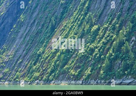 Des plantes vertes couvrent les parois rocheuses de la montagne. Les fjords de l'Alaska, des paysages naturels uniques. Alaska, États-Unis. Juin 2019. Banque D'Images