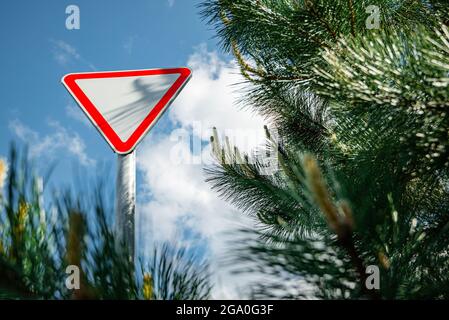 Panneau de signalisation routière. Un panneau de signalisation triangulaire donne chemin est situé parmi les pins dans une zone boisée sur la rue. Banque D'Images