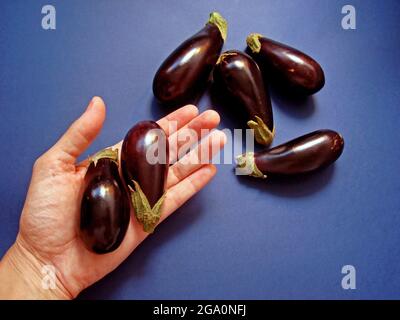 Mini aubergines sur fond bleu Banque D'Images