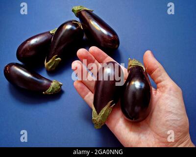 Mini aubergines sur fond bleu Banque D'Images