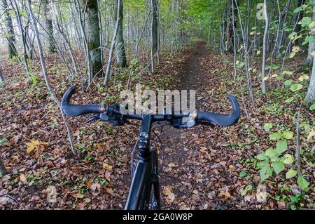 Vélo dans la forêt d'automne. Détente et vélo à l'automne. Cyclistes qui traversent les bois. Banque D'Images