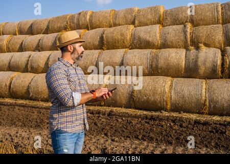 L'agriculteur est debout à côté des balles de foin. Il examine la paille après une récolte réussie. Banque D'Images
