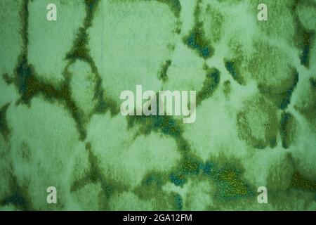 Vieux mur texture vert abstrait Grunge arrière-plan Banque D'Images