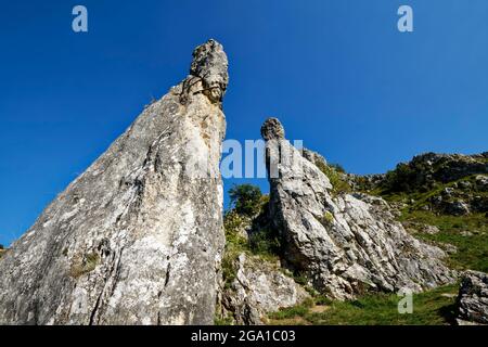 Vallée d'Eselsburg près de Herbrechtingen, formation de rockformation 'tony Maiden' (Steinerne Jungfrauen), quartier de Heidenheim, Bade-Wurtemberg, Allemagne Banque D'Images