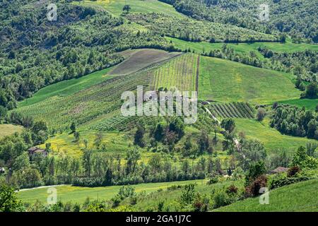 Collines cultivées près de Castello di Serravalle - Château de Serravalle au printemps. Province de Bologne, Émilie-Romagne, Italie Banque D'Images