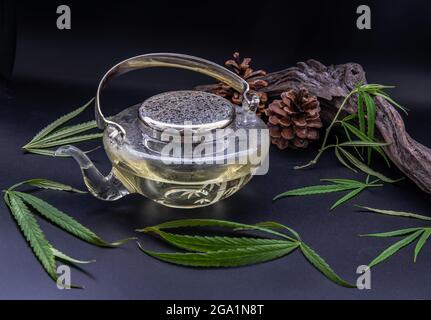 Tisane de cannabis dans la théière et tige avec des feuilles de marijuana vertes sur fond noir. À des fins médicales pour le sommeil et l'anxiété. Tisane et saine Banque D'Images