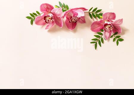 Fond floral avec orchidées. Orchidées de phalaenopsis roses tropicales sur fond pastel clair. Vue de dessus du plan de travail avec espace de copie. Banque D'Images