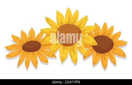 Motif fleuri avec trois pâquerettes de pétales jaunes sur fond blanc. Illustration de Vecteur