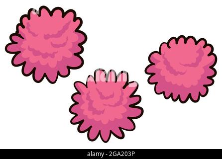 Ensemble de trois dahlias de pompon rose de style dessin animé, isolé sur fond blanc. Illustration de Vecteur